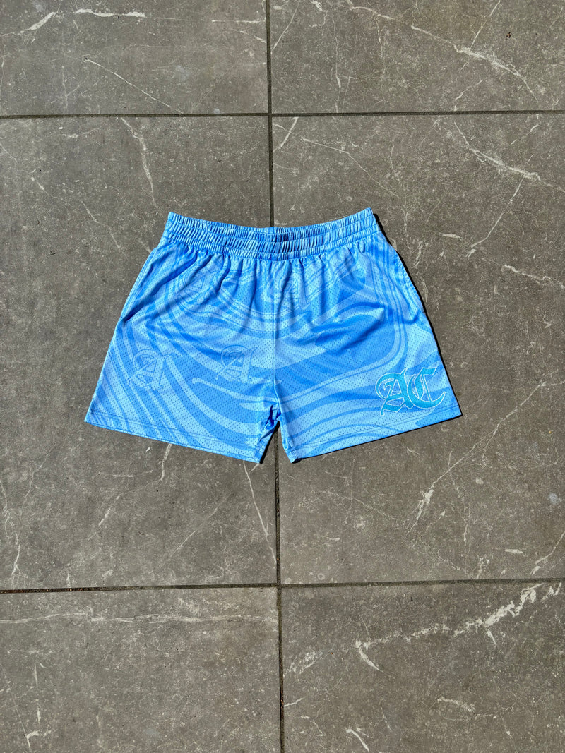 BLUE MESH SHORTS